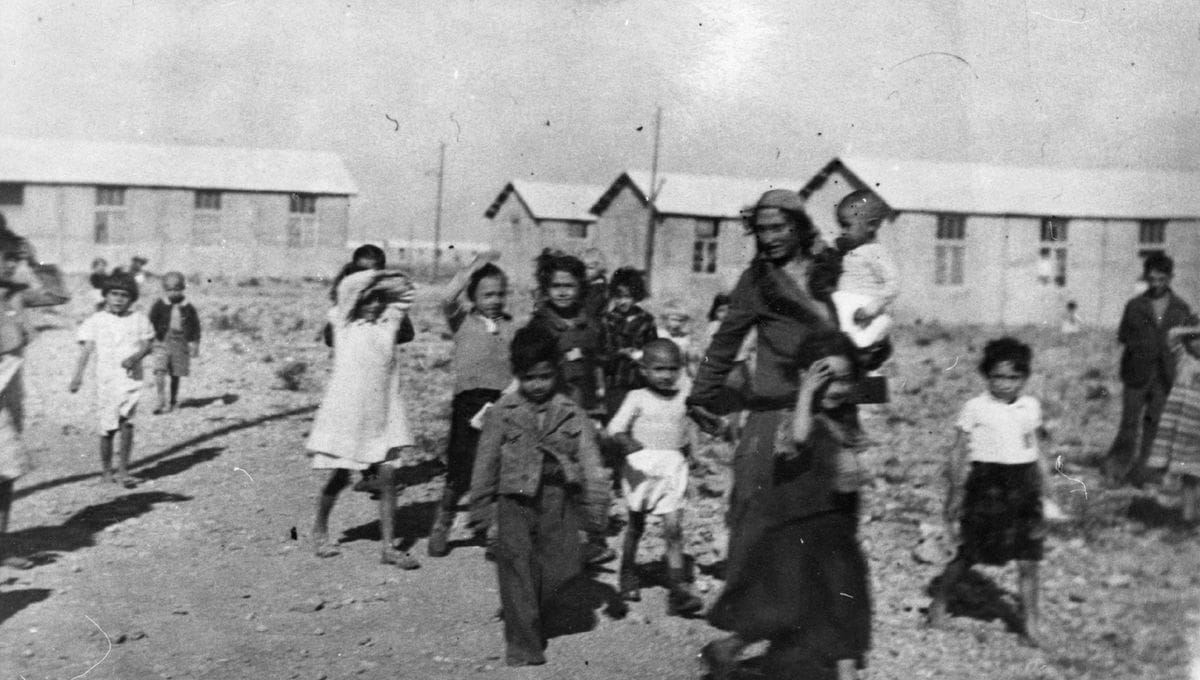 2 - Nouveau palier dans la politique de terreur 68 s7.pa2 .017 rivesaltes tziganes min MRJ MOI